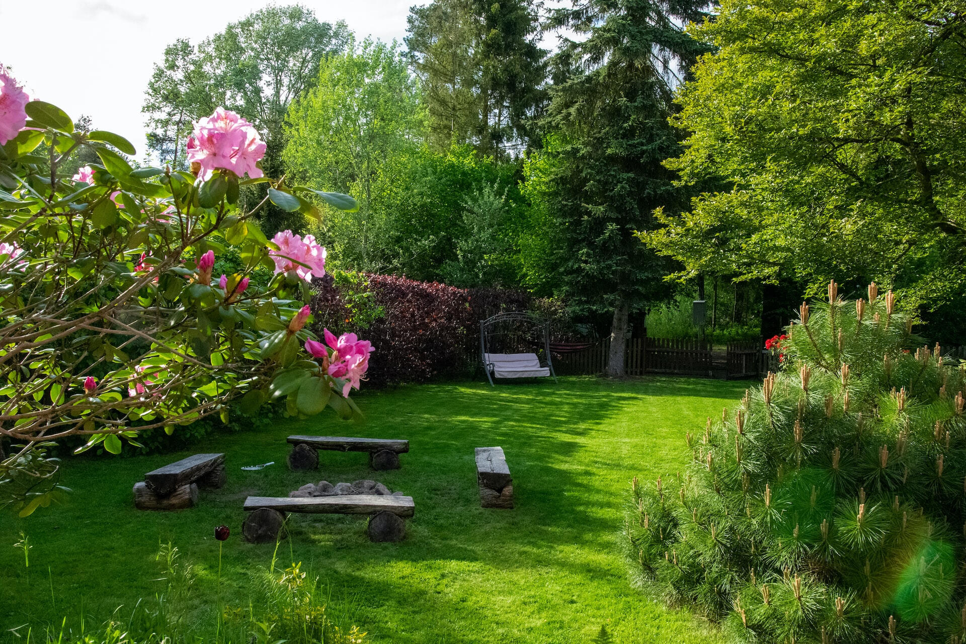 Lawn Care in Courtenay BC